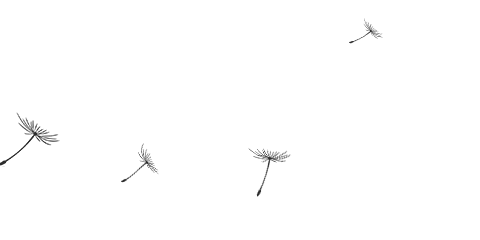 itb8888通博(中国区)官方网站