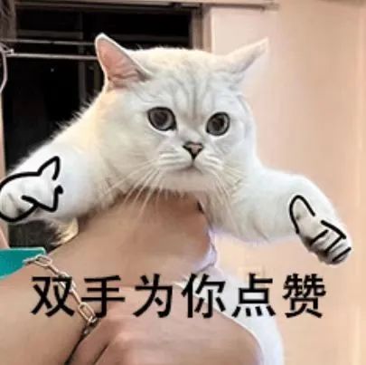 itb8888通博(中国区)官方网站