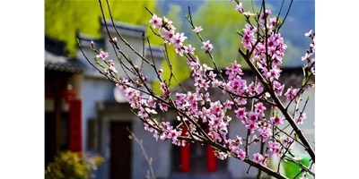 阳春三月，，，itb8888通博精机一大波展会即未来袭，，，您准备好了吗？？？